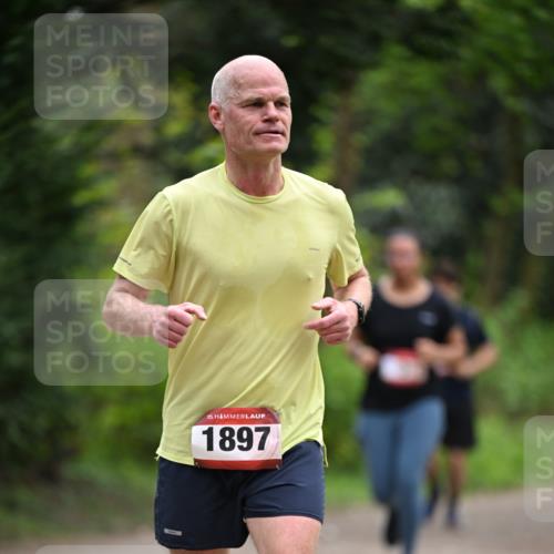 13.04.2025 - Hammer Lauf Dr. Thomas Lammeyer http://msf.ph/oto/7664130 13.04.2025 11:33:37 Laufen 15, 1897 meine-sportfotos.de