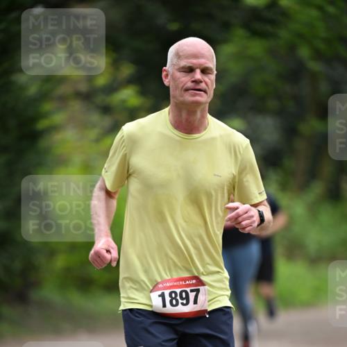 13.04.2025 - Hammer Lauf Dr. Thomas Lammeyer http://msf.ph/oto/7664134 13.04.2025 11:33:37 Laufen 15, 1897 meine-sportfotos.de