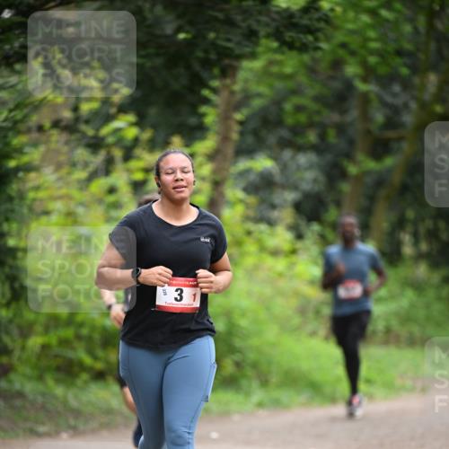 13.04.2025 - Hammer Lauf Dr. Thomas Lammeyer http://msf.ph/oto/7664144 13.04.2025 11:33:39 Laufen 228, 3 meine-sportfotos.de