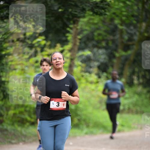 13.04.2025 - Hammer Lauf Dr. Thomas Lammeyer http://msf.ph/oto/7664146 13.04.2025 11:33:39 Laufen 15, 31 meine-sportfotos.de