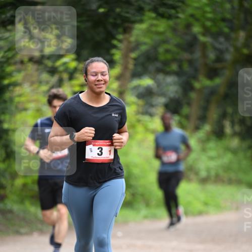 13.04.2025 - Hammer Lauf Dr. Thomas Lammeyer http://msf.ph/oto/7664155 13.04.2025 11:33:40 Laufen 228, 15, 31 meine-sportfotos.de