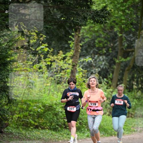 13.04.2025 - Hammer Lauf Dr. Thomas Lammeyer http://msf.ph/oto/7664337 13.04.2025 11:34:21 Laufen 103, 119, 736 meine-sportfotos.de