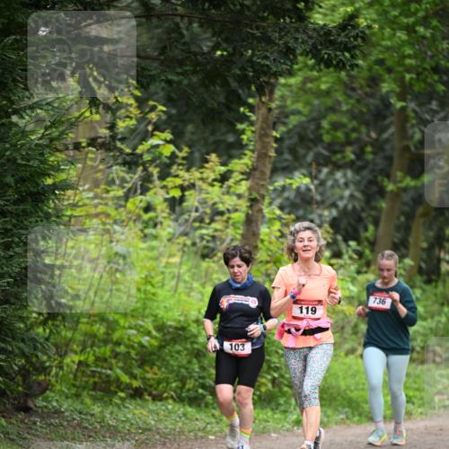 13.04.2025 - Hammer Lauf Dr. Thomas Lammeyer http://msf.ph/oto/7664339 13.04.2025 11:34:21 Laufen 103, 119, 736 meine-sportfotos.de