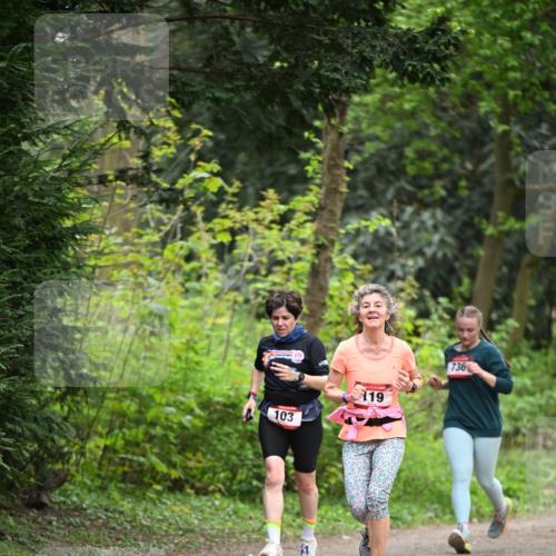 13.04.2025 - Hammer Lauf Dr. Thomas Lammeyer http://msf.ph/oto/7664342 13.04.2025 11:34:22 Laufen 103, 119, 736 meine-sportfotos.de