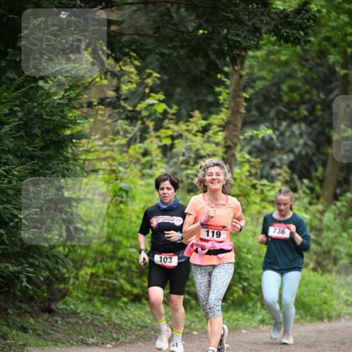 13.04.2025 - Hammer Lauf Dr. Thomas Lammeyer http://msf.ph/oto/7664346 13.04.2025 11:34:22 Laufen 103, 119, 736 meine-sportfotos.de