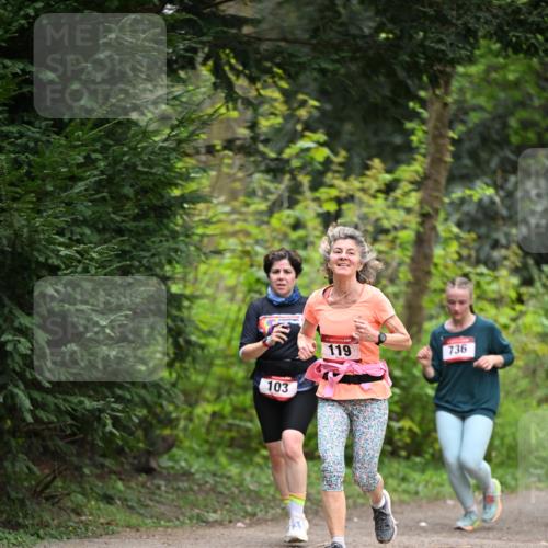 13.04.2025 - Hammer Lauf Dr. Thomas Lammeyer http://msf.ph/oto/7664353 13.04.2025 11:34:23 Laufen 103, 119, 736 meine-sportfotos.de