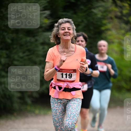 13.04.2025 - Hammer Lauf Dr. Thomas Lammeyer http://msf.ph/oto/7664402 13.04.2025 11:34:26 Laufen 15, 119 meine-sportfotos.de