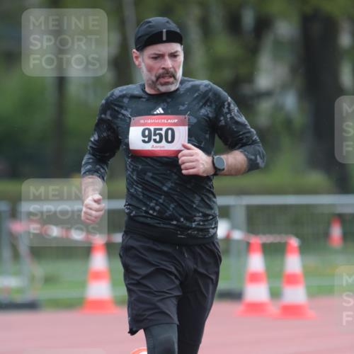 13.04.2025 - Hammer Lauf A. Gomolzig http://msf.ph/oto/7664455 13.04.2025 11:55:45 Ziel 950, 1900 meine-sportfotos.de