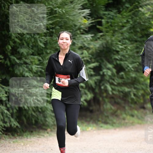 13.04.2025 - Hammer Lauf Dr. Thomas Lammeyer http://msf.ph/oto/7664543 13.04.2025 11:35:03 Laufen 15, 8 meine-sportfotos.de
