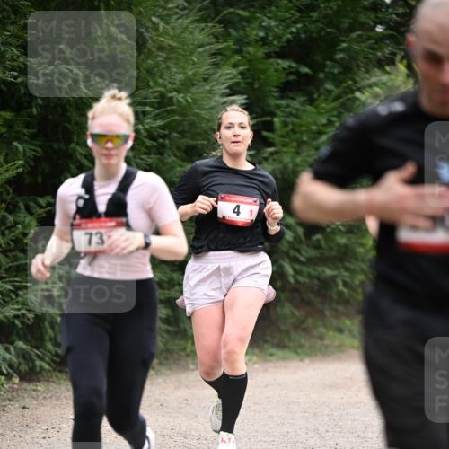 13.04.2025 - Hammer Lauf Dr. Thomas Lammeyer http://msf.ph/oto/7664732 13.04.2025 11:35:55 Laufen 73, 15, 4, 1 meine-sportfotos.de