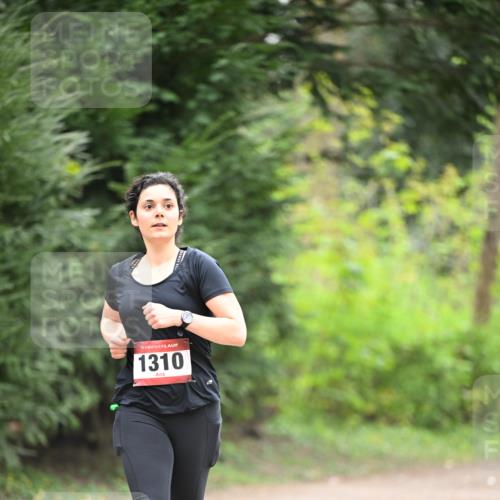 13.04.2025 - Hammer Lauf Dr. Thomas Lammeyer http://msf.ph/oto/7664804 13.04.2025 11:36:05 Laufen 15, 1310 meine-sportfotos.de