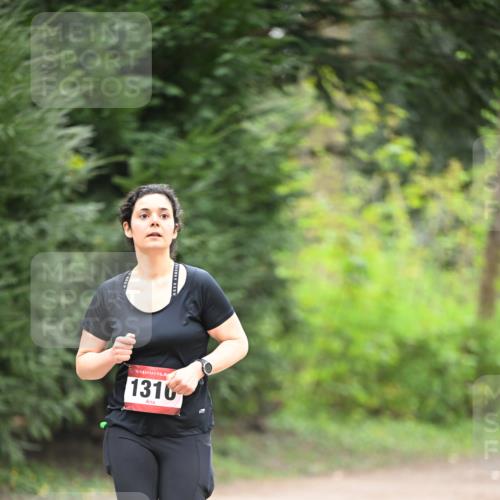 13.04.2025 - Hammer Lauf Dr. Thomas Lammeyer http://msf.ph/oto/7664806 13.04.2025 11:36:05 Laufen 15, 1310 meine-sportfotos.de