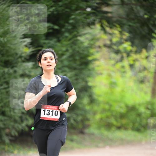 13.04.2025 - Hammer Lauf Dr. Thomas Lammeyer http://msf.ph/oto/7664809 13.04.2025 11:36:06 Laufen 15, 1310 meine-sportfotos.de