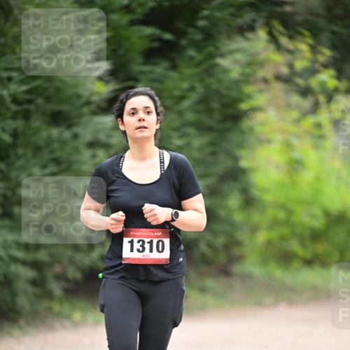 13.04.2025 - Hammer Lauf Dr. Thomas Lammeyer http://msf.ph/oto/7664813 13.04.2025 11:36:06 Laufen 15, 1310 meine-sportfotos.de
