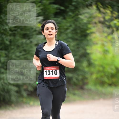 13.04.2025 - Hammer Lauf Dr. Thomas Lammeyer http://msf.ph/oto/7664815 13.04.2025 11:36:06 Laufen 15, 1310 meine-sportfotos.de