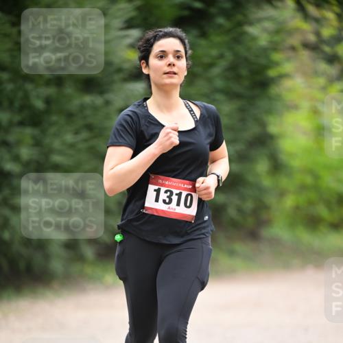 13.04.2025 - Hammer Lauf Dr. Thomas Lammeyer http://msf.ph/oto/7664822 13.04.2025 11:36:06 Laufen 15, 1310 meine-sportfotos.de