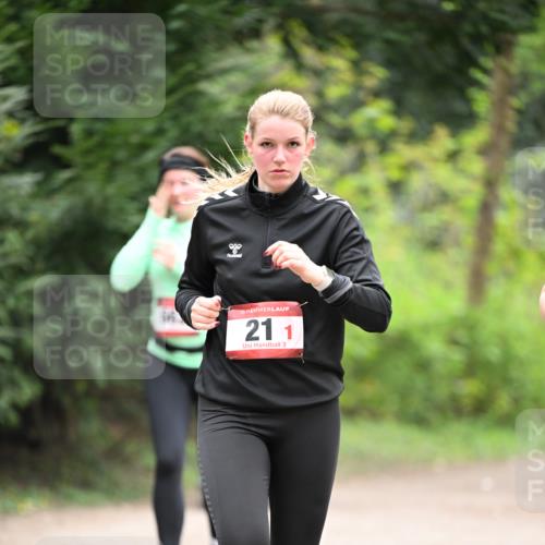 13.04.2025 - Hammer Lauf Dr. Thomas Lammeyer http://msf.ph/oto/7664884 13.04.2025 11:36:14 Laufen 21, 1 meine-sportfotos.de