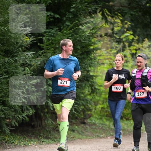 13.04.2025 - Hammer Lauf Dr. Thomas Lammeyer http://msf.ph/oto/7664963 13.04.2025 11:36:40 Laufen 15, 271, 160, 327 meine-sportfotos.de