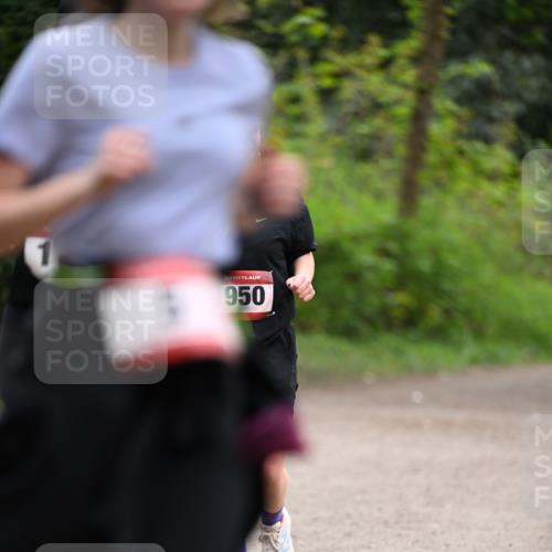 13.04.2025 - Hammer Lauf Dr. Thomas Lammeyer http://msf.ph/oto/7665161 13.04.2025 11:37:16 Laufen 950 meine-sportfotos.de