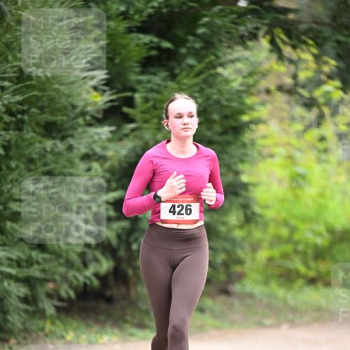 13.04.2025 - Hammer Lauf Dr. Thomas Lammeyer http://msf.ph/oto/7665322 13.04.2025 11:38:10 Laufen 15, 426 meine-sportfotos.de