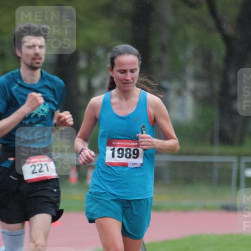 13.04.2025 - Hammer Lauf A. Gomolzig http://msf.ph/oto/7665518 13.04.2025 12:14:48 Ziel 221, 532, 1950, 1989 meine-sportfotos.de