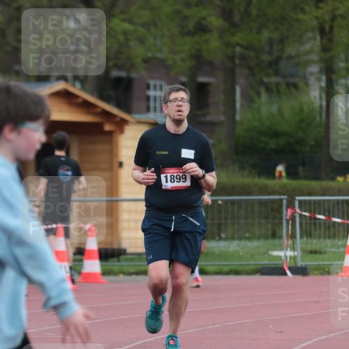 13.04.2025 - Hammer Lauf A. Gomolzig http://msf.ph/oto/7665590 13.04.2025 12:19:58 Ziel 273, 1139, 1899 meine-sportfotos.de