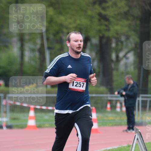 13.04.2025 - Hammer Lauf A. Gomolzig http://msf.ph/oto/7665659 13.04.2025 12:22:06 Ziel 251, 306, 1257 meine-sportfotos.de