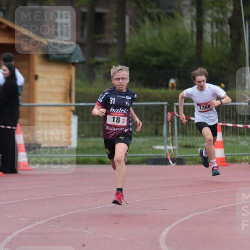 13.04.2025 - Hammer Lauf A. Gomolzig http://msf.ph/oto/7666199 13.04.2025 12:37:06 Ziel 18, 1368, 1999 meine-sportfotos.de