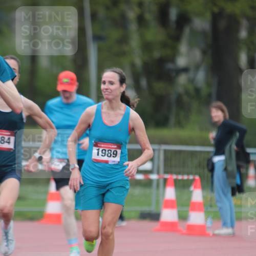 13.04.2025 - Hammer Lauf A. Gomolzig http://msf.ph/oto/7666218 13.04.2025 12:37:27 Ziel 221, 289, 1184, 1222, 1989 meine-sportfotos.de