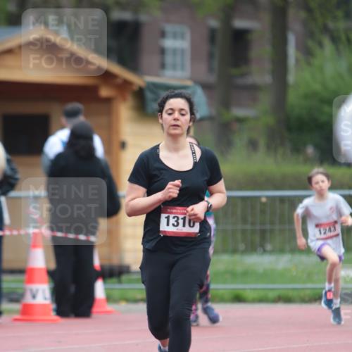 13.04.2025 - Hammer Lauf A. Gomolzig http://msf.ph/oto/7666360 13.04.2025 12:40:16 Ziel 12, 301, 1243, 1310 meine-sportfotos.de