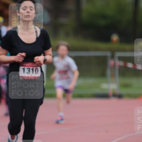 13.04.2025 - Hammer Lauf A. Gomolzig http://msf.ph/oto/7666363 13.04.2025 12:40:18 Ziel 301, 1243, 1310 meine-sportfotos.de