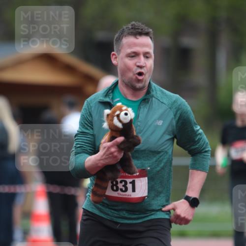 13.04.2025 - Hammer Lauf A. Gomolzig http://msf.ph/oto/7666375 13.04.2025 12:40:32 Ziel 236, 831, 832, 1897 meine-sportfotos.de