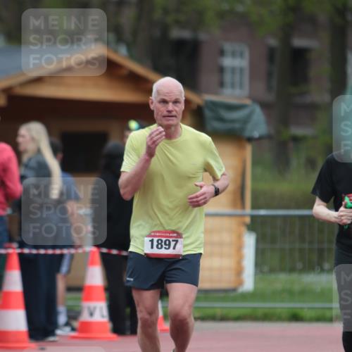 13.04.2025 - Hammer Lauf A. Gomolzig http://msf.ph/oto/7666376 13.04.2025 12:40:33 Ziel 236, 1144, 1897 meine-sportfotos.de