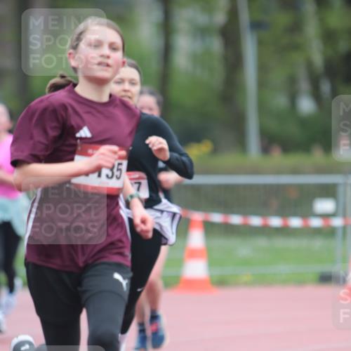 13.04.2025 - Hammer Lauf A. Gomolzig http://msf.ph/oto/7666395 13.04.2025 12:40:50 Ziel 495, 669, 947, 1027, 1135, 1875 meine-sportfotos.de