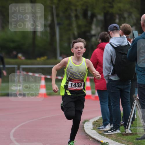 13.04.2025 - Hammer Lauf A. Gomolzig http://msf.ph/oto/7666550 13.04.2025 12:43:07 Ziel 1122, 1146, 1459 meine-sportfotos.de