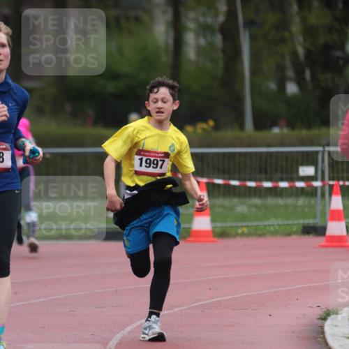 13.04.2025 - Hammer Lauf A. Gomolzig http://msf.ph/oto/7666561 13.04.2025 12:43:23 Ziel 101, 318, 863, 1997 meine-sportfotos.de