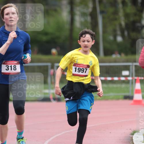 13.04.2025 - Hammer Lauf A. Gomolzig http://msf.ph/oto/7666563 13.04.2025 12:43:23 Ziel 101, 318, 863, 1997 meine-sportfotos.de