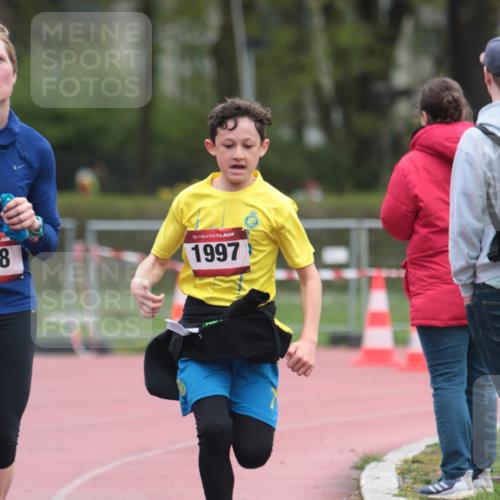 13.04.2025 - Hammer Lauf A. Gomolzig http://msf.ph/oto/7666564 13.04.2025 12:43:23 Ziel 101, 318, 863, 1997 meine-sportfotos.de