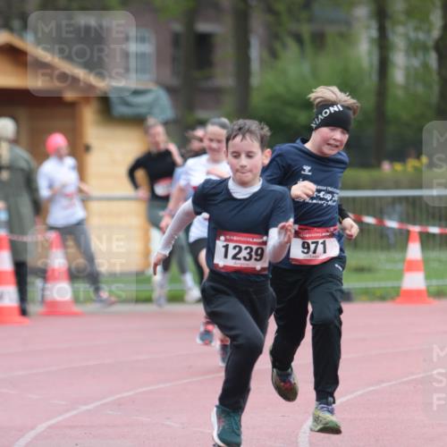 13.04.2025 - Hammer Lauf A. Gomolzig http://msf.ph/oto/7666709 13.04.2025 12:45:32 Ziel 160, 324, 759, 971, 1121, 1179, 1199, 1239, 1326, 1348, 1894 meine-sportfotos.de