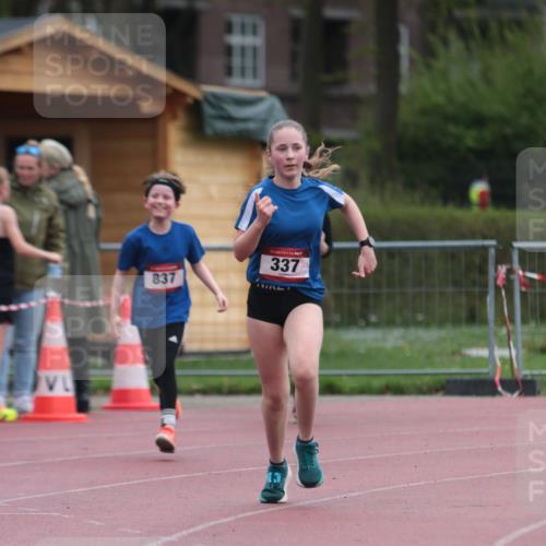 13.04.2025 - Hammer Lauf A. Gomolzig http://msf.ph/oto/7666719 13.04.2025 12:45:47 Ziel 337, 837, 1283 meine-sportfotos.de