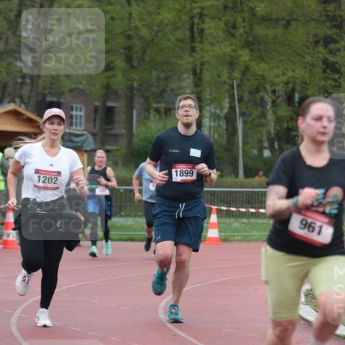 13.04.2025 - Hammer Lauf A. Gomolzig http://msf.ph/oto/7666902 13.04.2025 12:48:50 Ziel 147, 515, 1202, 1284, 1706, 1876, 1899 meine-sportfotos.de