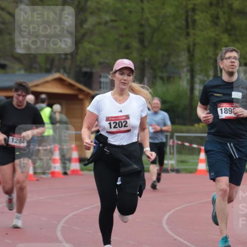 13.04.2025 - Hammer Lauf A. Gomolzig http://msf.ph/oto/7666903 13.04.2025 12:48:50 Ziel 147, 515, 1202, 1284, 1706, 1876, 1899 meine-sportfotos.de