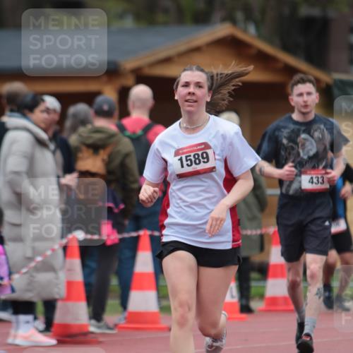 13.04.2025 - Hammer Lauf A. Gomolzig http://msf.ph/oto/7667044 13.04.2025 12:51:07 Ziel 234, 306, 433, 1589 meine-sportfotos.de