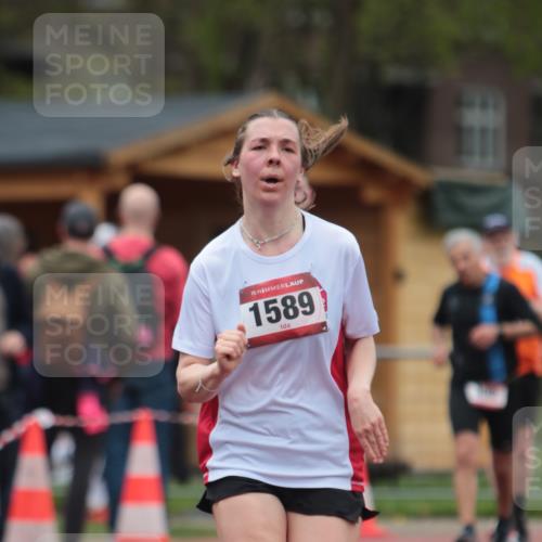 13.04.2025 - Hammer Lauf A. Gomolzig http://msf.ph/oto/7667047 13.04.2025 12:51:08 Ziel 234, 306, 433, 1589, 1917 meine-sportfotos.de