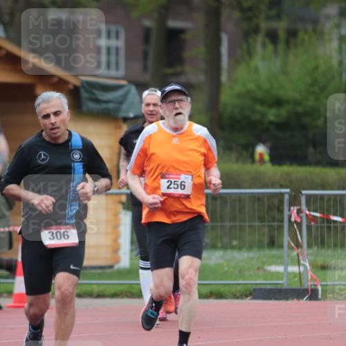 13.04.2025 - Hammer Lauf A. Gomolzig http://msf.ph/oto/7667051 13.04.2025 12:51:11 Ziel 256, 306, 433, 1589, 1917 meine-sportfotos.de