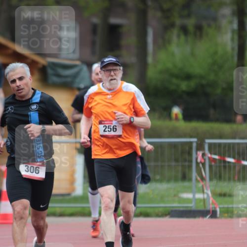 13.04.2025 - Hammer Lauf A. Gomolzig http://msf.ph/oto/7667052 13.04.2025 12:51:12 Ziel 256, 306, 433, 1917 meine-sportfotos.de