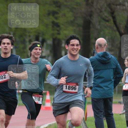 13.04.2025 - Hammer Lauf A. Gomolzig http://msf.ph/oto/7667192 13.04.2025 12:53:54 Ziel 218, 302, 502, 756, 858, 1567, 1571, 1572, 1896 meine-sportfotos.de