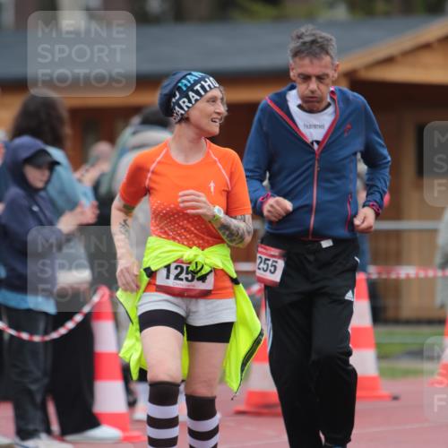 13.04.2025 - Hammer Lauf A. Gomolzig http://msf.ph/oto/7667356 13.04.2025 12:57:08 Ziel 232, 475, 609, 1254, 1255 meine-sportfotos.de