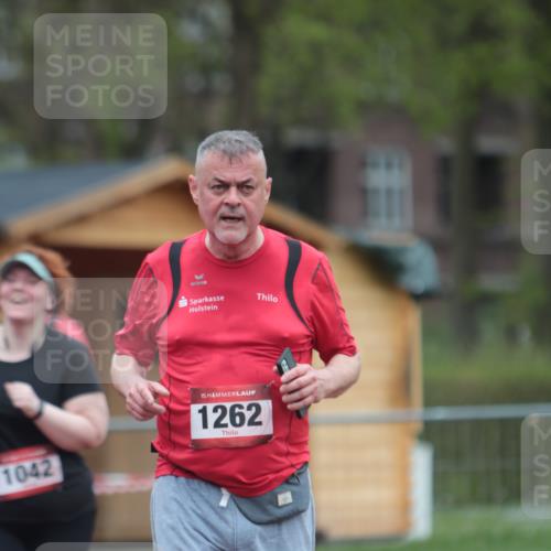 13.04.2025 - Hammer Lauf A. Gomolzig http://msf.ph/oto/7667480 13.04.2025 13:01:40 Ziel 252, 1042, 1262, 1278 meine-sportfotos.de