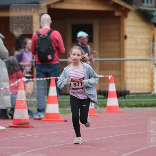 13.04.2025 - Hammer Lauf A. Gomolzig http://msf.ph/oto/7667537 13.04.2025 13:03:44 Ziel 977 meine-sportfotos.de